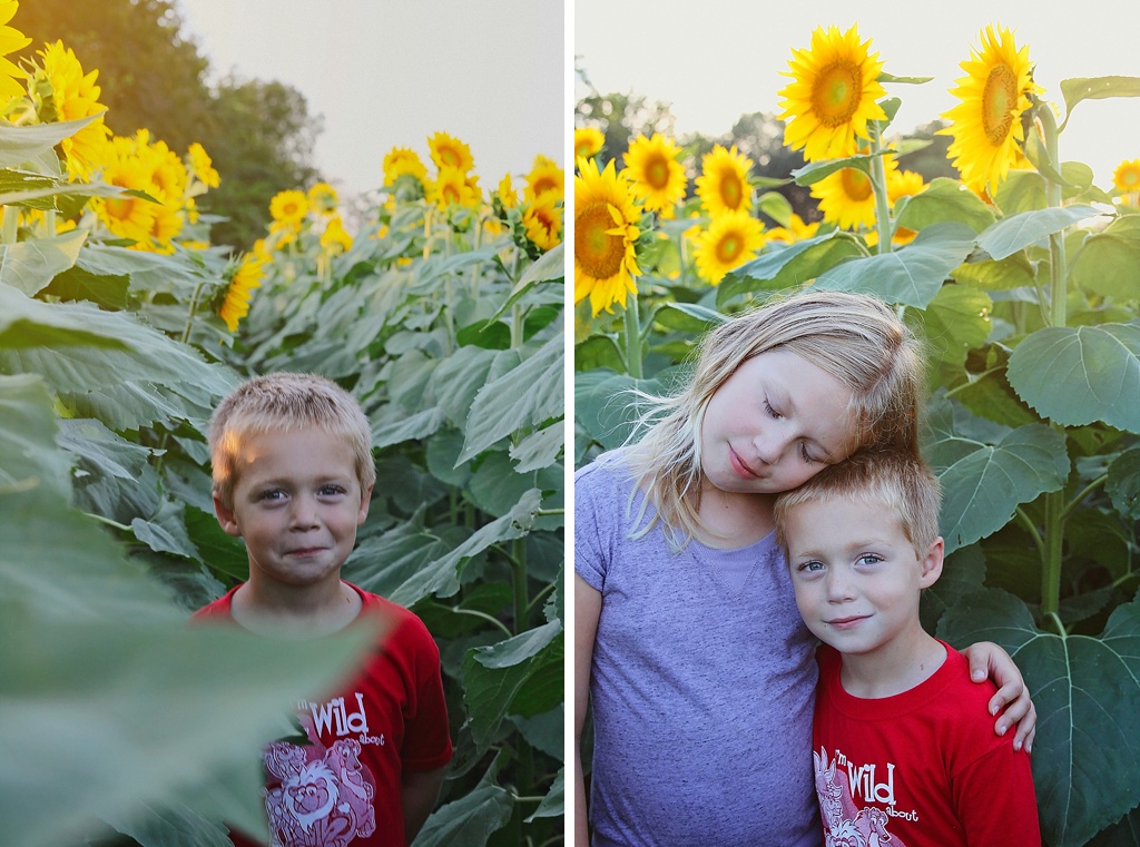 Sunflower Fields Kansas City Photographer