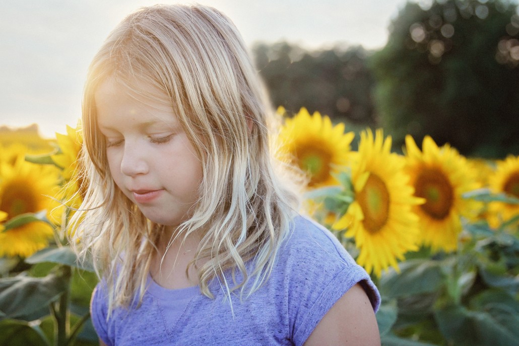 Sunflower Fields Kansas City Photographer