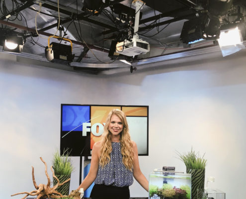 Fox 4 Aquarium Segment